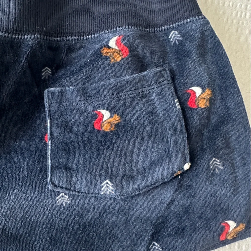 Abercrombie & Fitch Navy Velour Pajama Shorts Squirrel Embroidery Satin Bow S - Picture 5 of 7